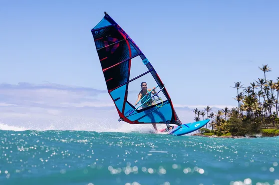 DUOTONE WIND ����� ������� Ultra FreeWave 84 (14250-1007) 25-