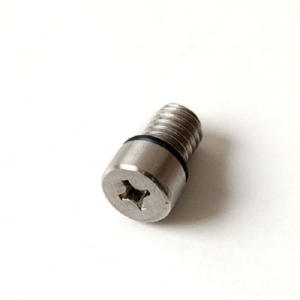 Купить FANATIC Пробка винт COBRA Airvalve screw + rubber ring (1 шт ...