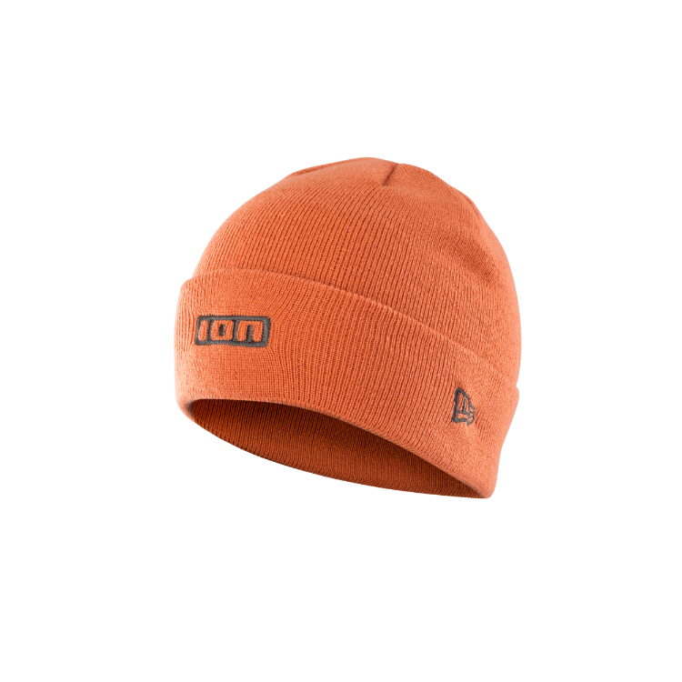 ION  Beanie Logo (47200-5800)   22-